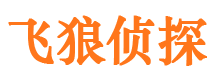 北塔外遇出轨调查取证